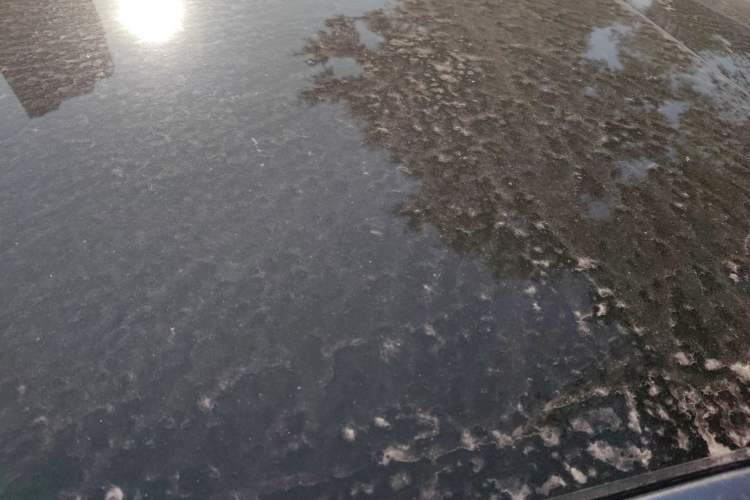 Used ARCFOX Alpha S5 2024 560PRO 185kW
