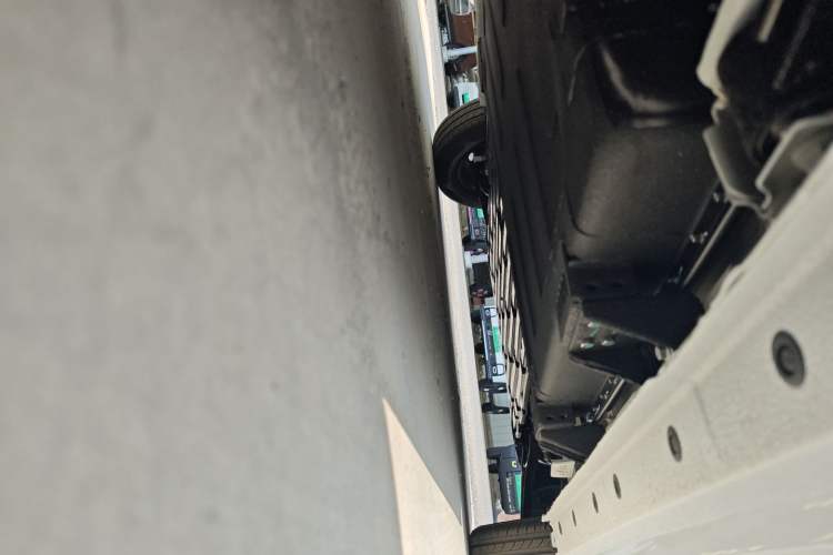 Used  Panda 2024 Panda Mini 200km Endurance Bear
