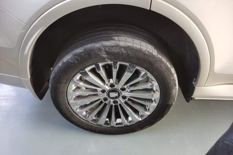 Used Tank 500 2022 3.0T High-End Custom Edition 5 Seats