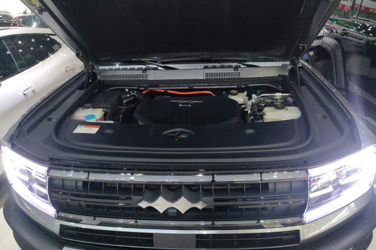 Used  Leopard 5 2023 Flagship Edition
