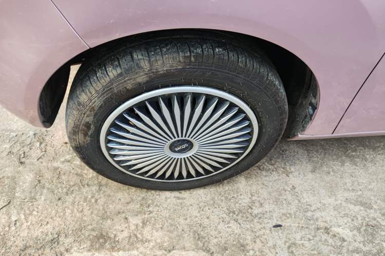 Used  Panda 2023 Panda Mini 200km Endurance Bear
