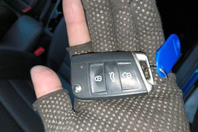 Used Volkswagen Tharu 2020 280TSI Two-Wheel Drive Luxury Plus Version China VI Standard