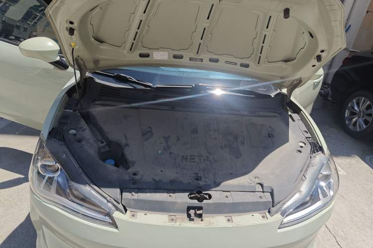 Used NETA V 2021 Long-Range Entertainment Edition Upgrade Model
