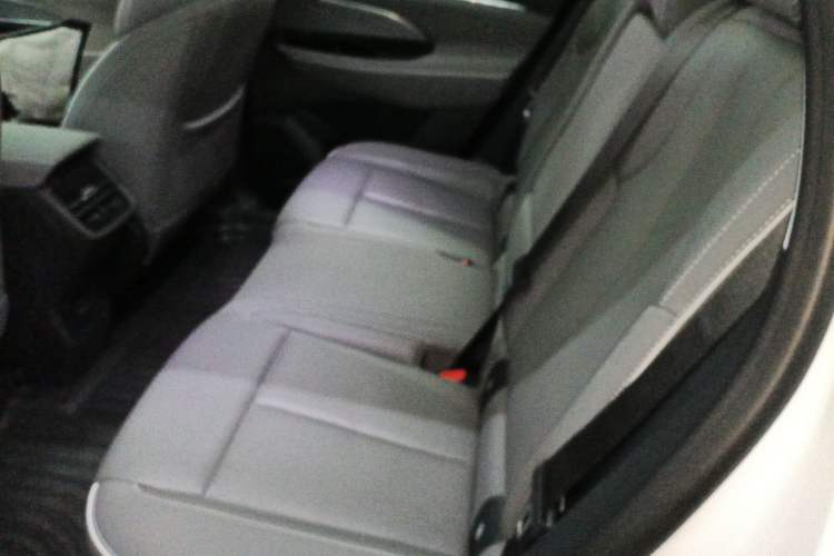 Used Buick E5 2023 Zhenxiang Standard Range Edition
