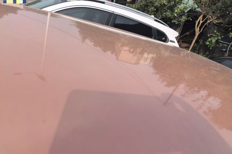 Used  Lumin 2023 301km Honey Dew Edition
