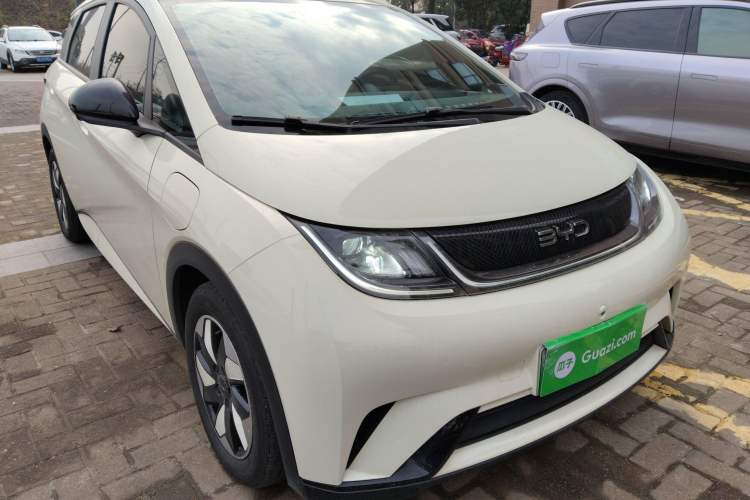 Used BYD Dolphin 2025 420km Free Edition
