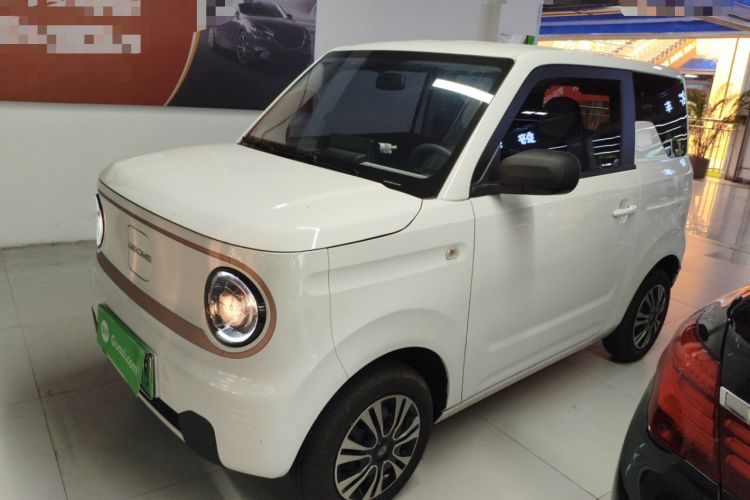 Used  Panda 2023 Panda Mini 200km Endurance Bear
