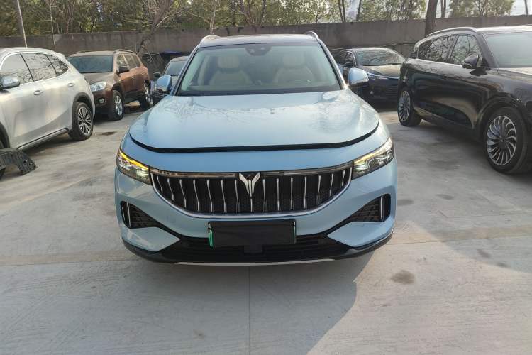 Used VOYAH FREE 2021 Four-Wheel Drive Standard All-Electric Exclusive Luxury Package
