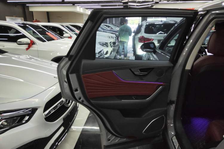 Used Hongqi HS5 2023 2.0T Qixiang Pro Edition
