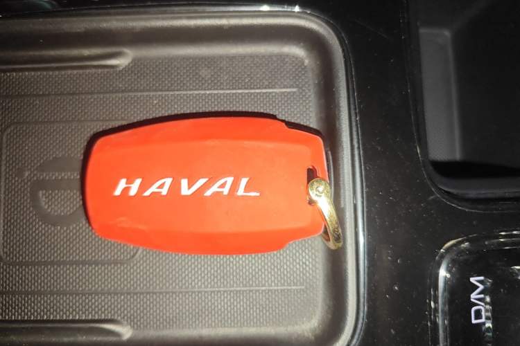 Used Haval DARGO 2021 1.5T DCT Two-Wheel Drive Border Collie Edition