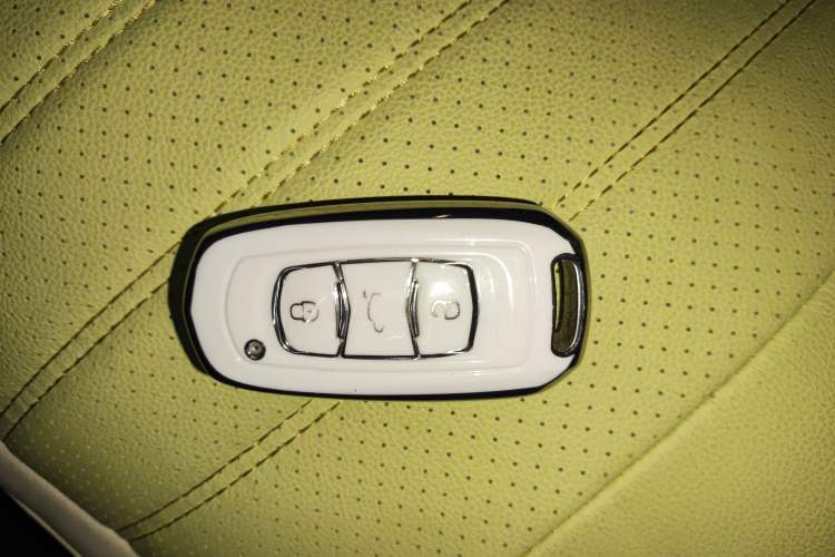 Used  Panda 2024 Panda Mini 200km Endurance Bear