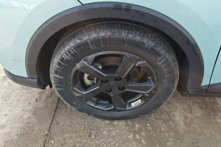 Used Geometry E Firefly 2022 401 km Linglong Tiger 4 Seats