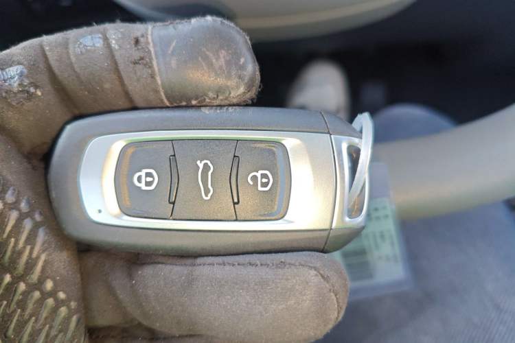 Used  Panda 2024 Panda Mini 200km Endurance Bear