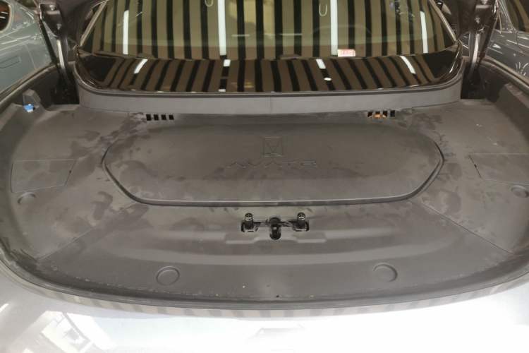 Used  07 2024 Max Extended-Range Edition
