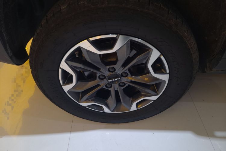 Used Haval DARGO 2024 2.0T DCT Chinese Rural Dog Edition