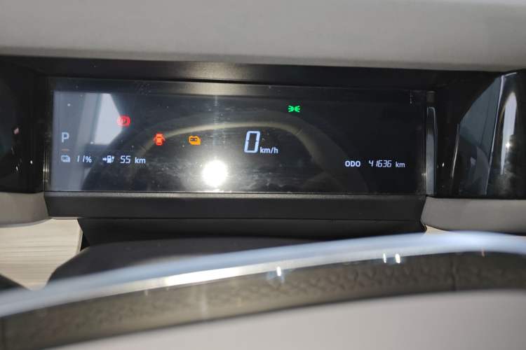 Used  03 2024 501km Two-Wheel Drive Long-Range Version
