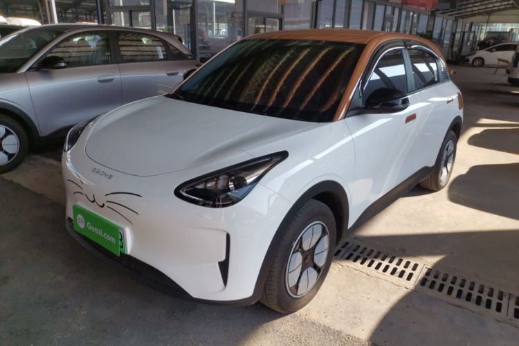 Used  Geome 2025 310km Youth Edition