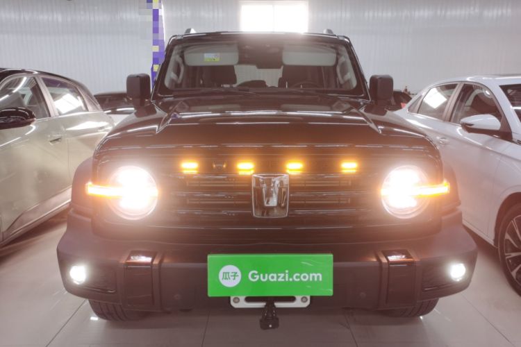 Used Tank 300 2024 2.0T Conqueror