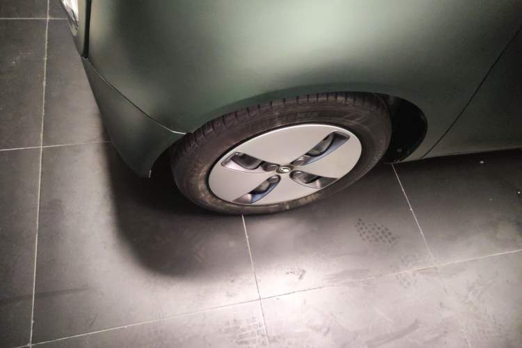 Used ORA Black Cat 2022 Updated Version 301 km Cute Pet Edition Lithium Iron Phosphate