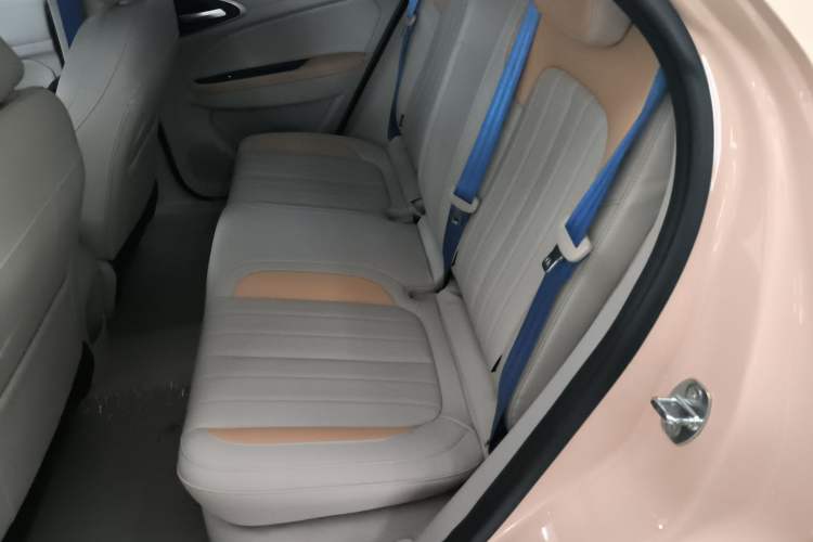 Used ORA Good Cat 2023 501 km Long-Range Luxury Version Ternary Lithium