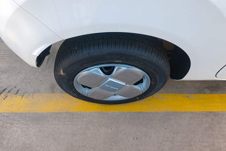 Used  Panda 2024 Panda Mini 200km Endurance Bear
