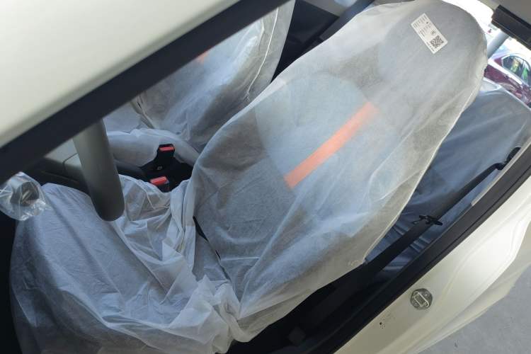 Used  Panda 2024 Panda Mini 200km Endurance Bear
