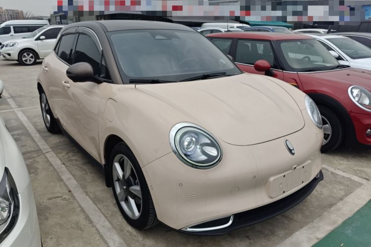 Used ORA Good Cat 2021 400km Standard Range Athena Edition Lithium-Ion Battery