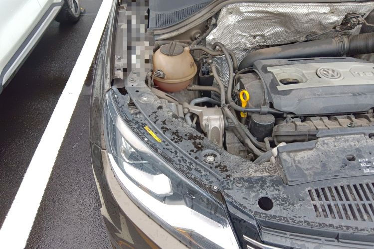 Used Volkswagen Tiguan 2017 300TSI Automatic Two-Wheel Drive Silk Road Luxury Edition
