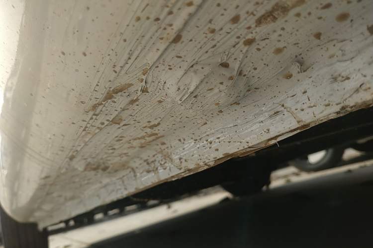 Used  Lumin 2024 130km Qingyue Version
