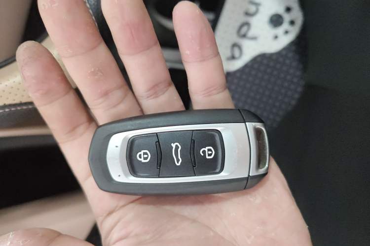 Used  Panda 2024 200km Panda Kart
