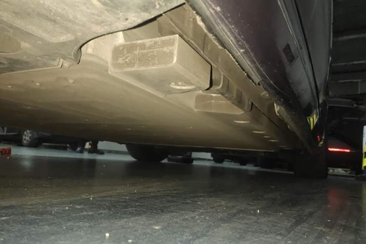 Used ORA Lightning Cat 2022 555 km Luxury Edition