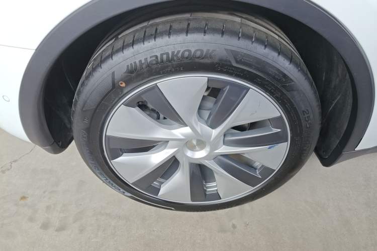 Used Tesla Model Y 2021 Standard Range Rear-Wheel Drive Version
