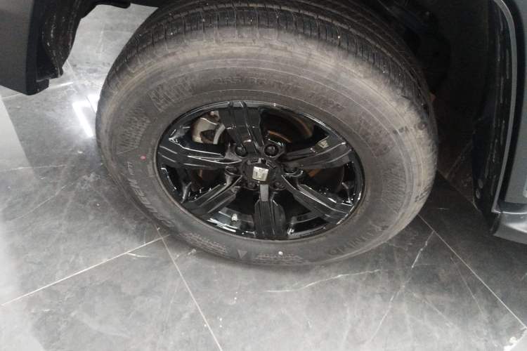 Used Tank 300 2024 2.0T Challenger
