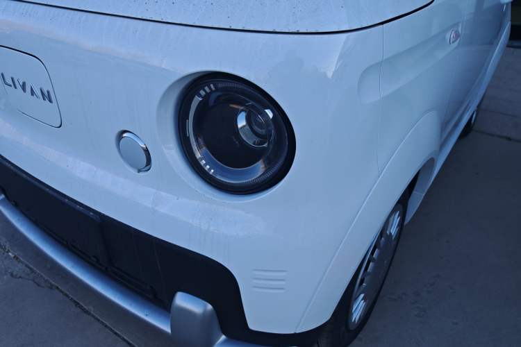 Used Livan Blue Balloon 
