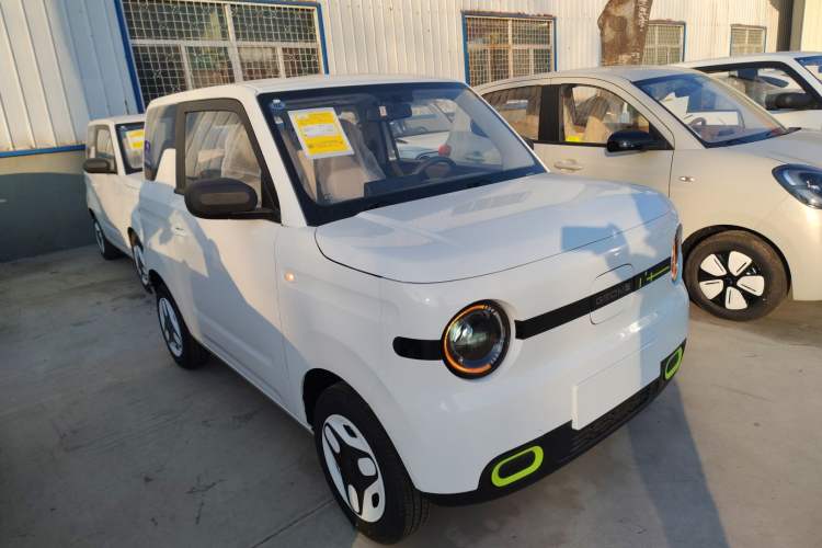 Used  Panda 2025 210 km – Yuanqi Bear
