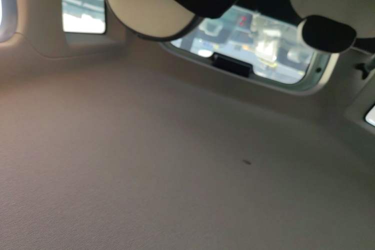 Used  Panda 2024 Panda Mini 200km Endurance Bear
