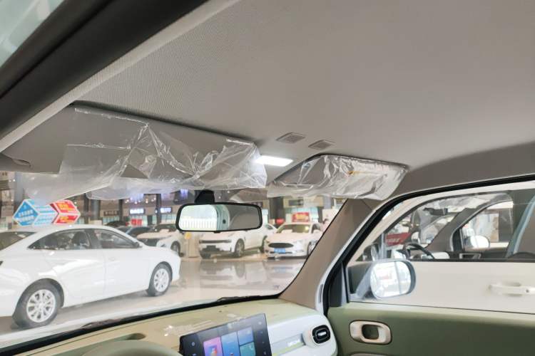 Used  Panda 2025 210 km – Yuanqi Bear
