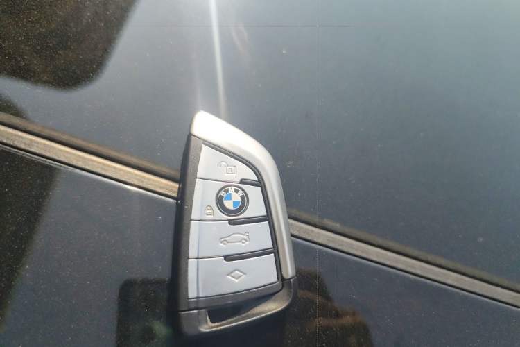 Used BMW 5 Series New Energy 2019 530Le Luxury Package
