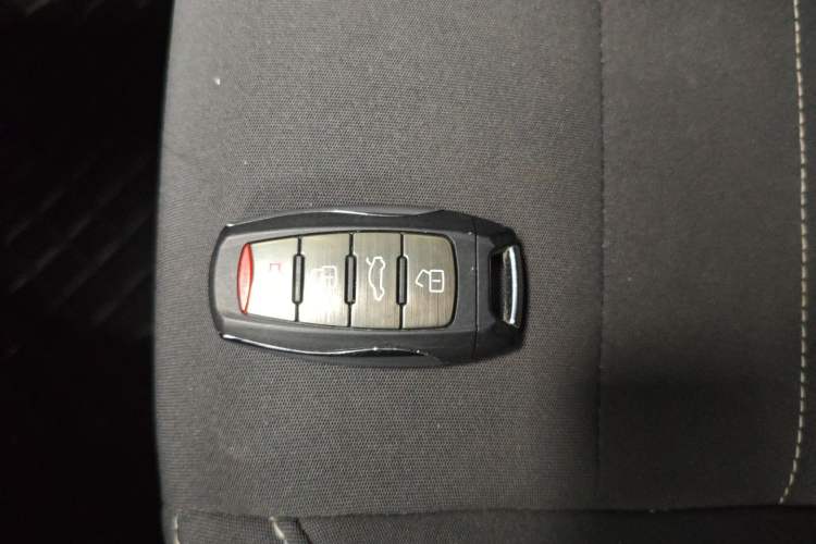 Used ORA White Cat 2020 305 km Luxury Version
