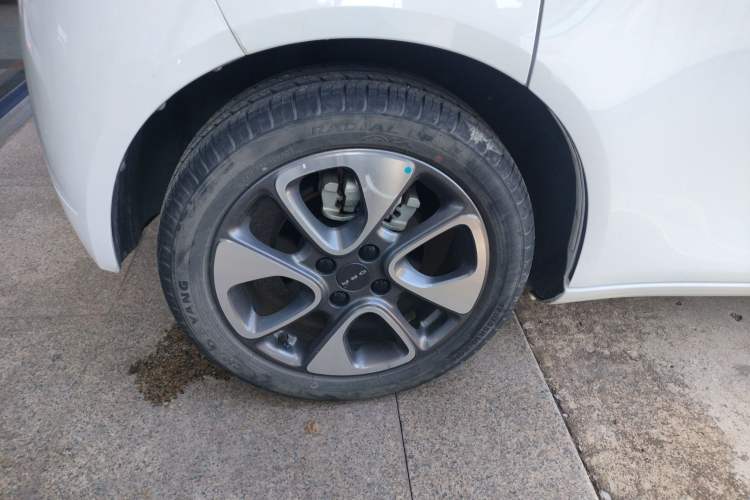 Used ORA White Cat 2020 401 km Flagship Version
