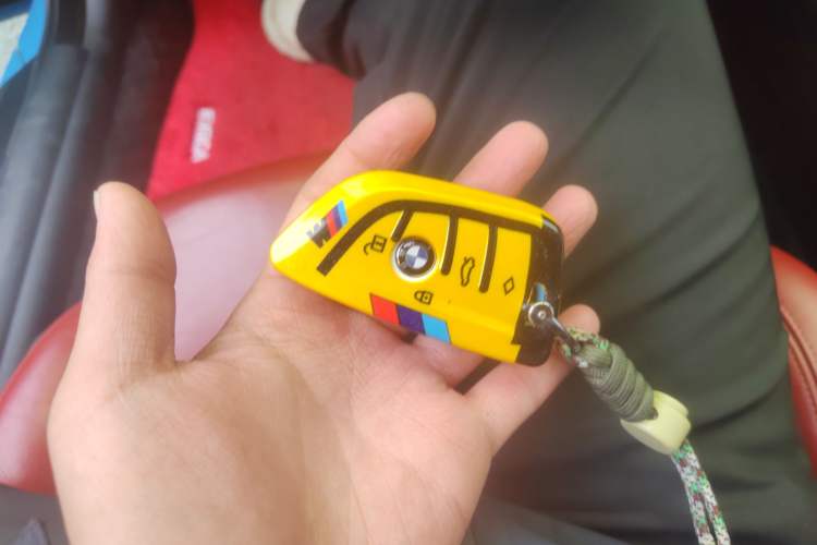 Used BMW M4 2017 M4 Convertible Coupe Fan Limited Edition