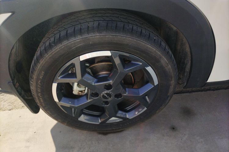 Used BYD Seagull 2025 305 km Free Version
