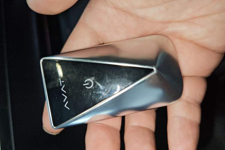 Used  06 2025 Ultra Pure Electric Edition
