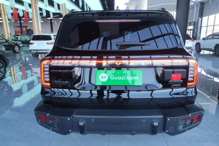 Used Haval DARGO 2024 2.0T DCT Chinese Rural Dog Edition
