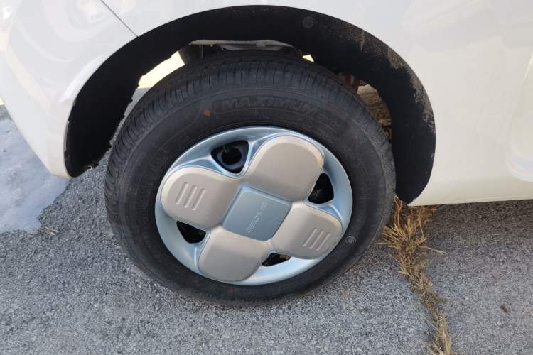 Used  Panda 2024 Panda Mini 200km Endurance Bear
