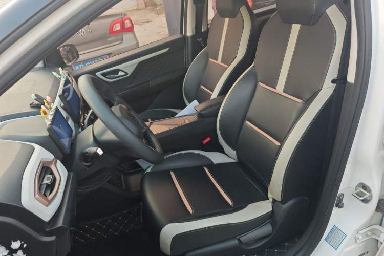 Used SOL E10X 2022 Flower Fairy Design Four-Leaf Clover