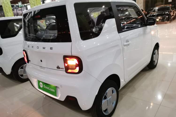 Used  Panda 2024 Panda Mini 200km Endurance Bear
