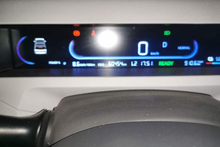 Used  Panda 2023 Panda Mini 200km Endurance Bear
