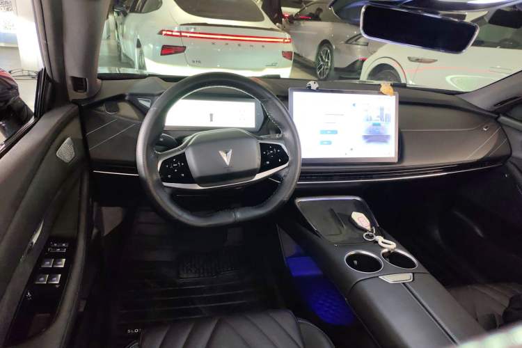 Used  SL03 2023 515MAX Pure Electric Version
