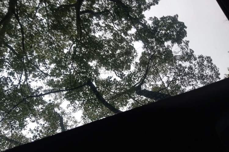 Used BYD Seal 06GT 2025 Intelligent Driving Version 505 Wave Plus Edition